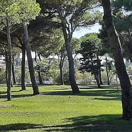 Entre Port Et Village جرْويسا المظهر الخارجي الصورة