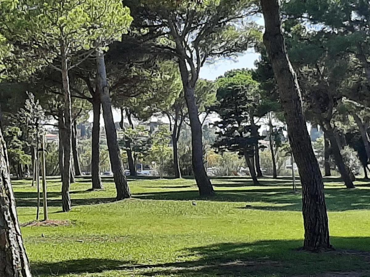 Entre Port Et Village جرْويسا المظهر الخارجي الصورة